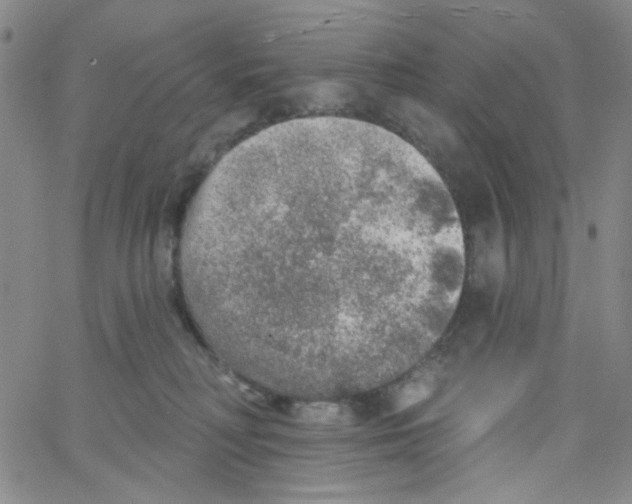 X0000062910230200602101840