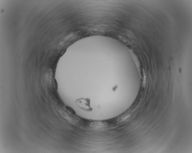 X0000062910231200602101840