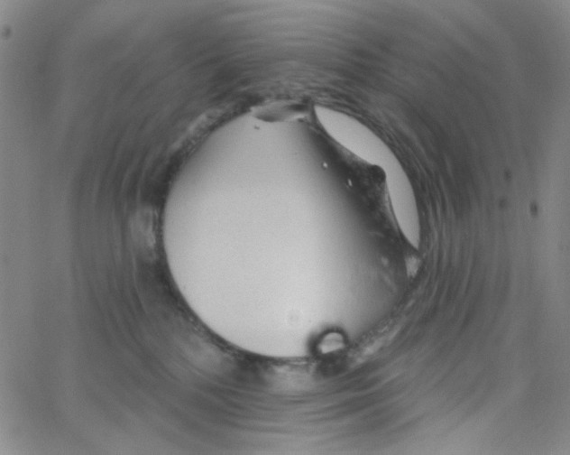 X0000062910232200602101840