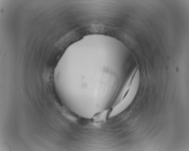 X0000062910233200602101840