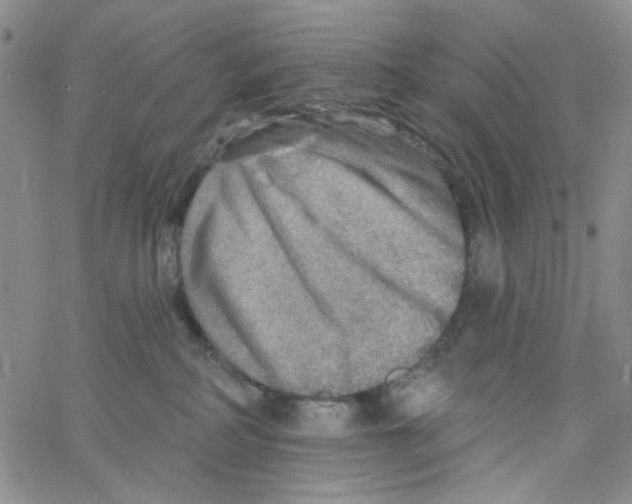 X0000062910234200602101840