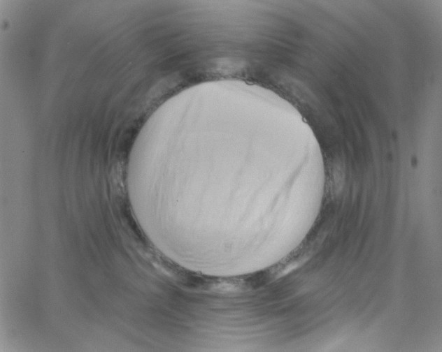 X0000062910236200602101840