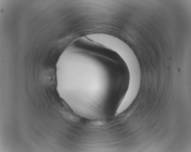 X0000062910237200602101840