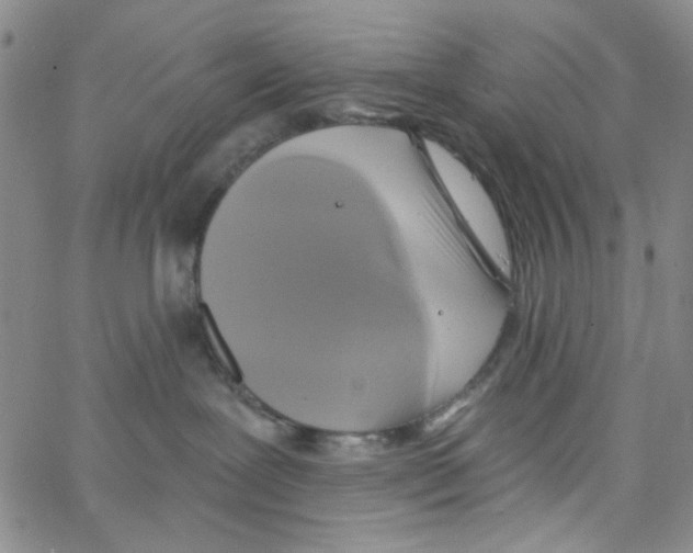 X0000062910239200602101840