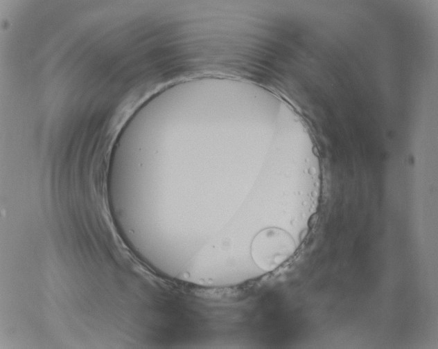 X0000062910241200602101839