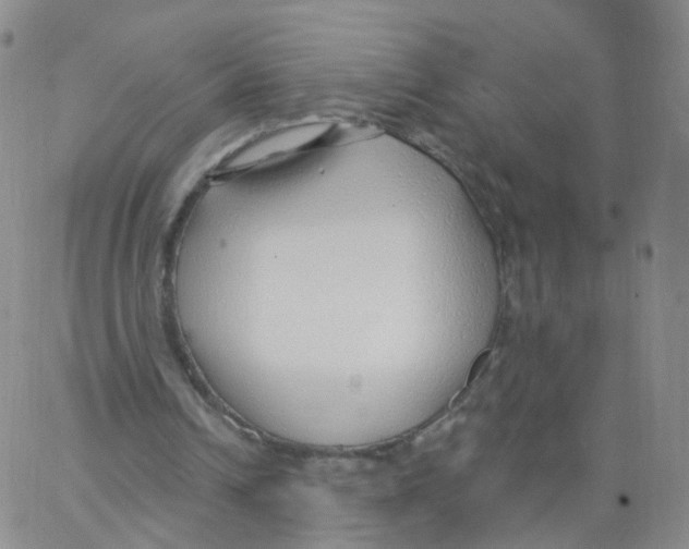 X0000062910242200602101839