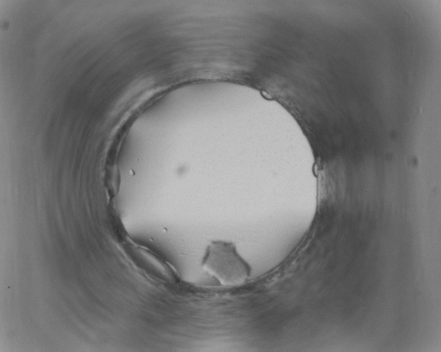 X0000062910243200602101839