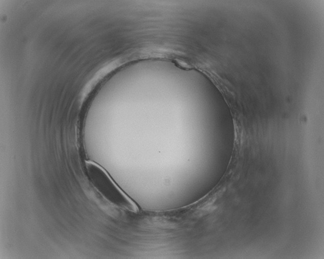 X0000062910244200602101839