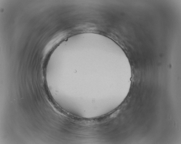 X0000062910245200602101839