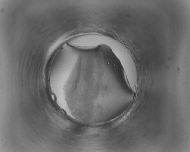 X0000062910246200602101839