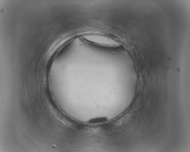 X0000062910247200602101839