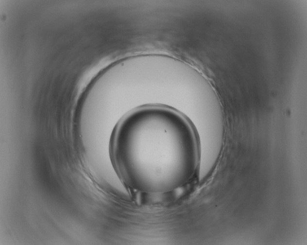 X0000062910248200602101839