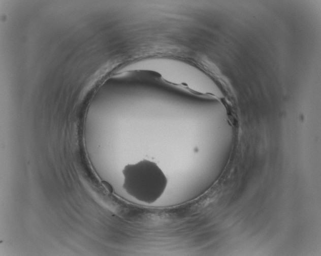 X0000062910250200602101839