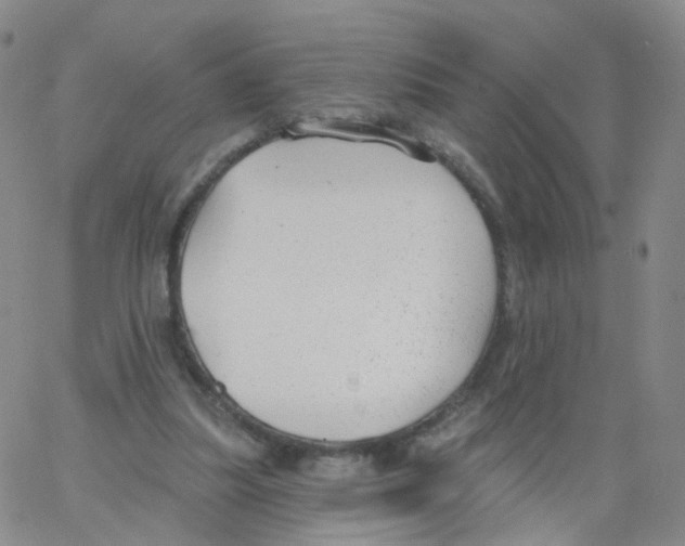 X0000062910251200602101839