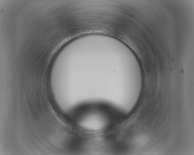 X0000062910252200602101839