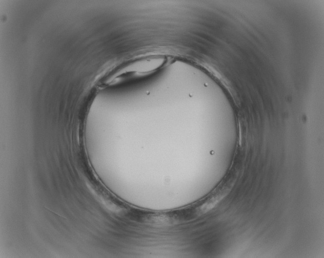 X0000062910253200602101839