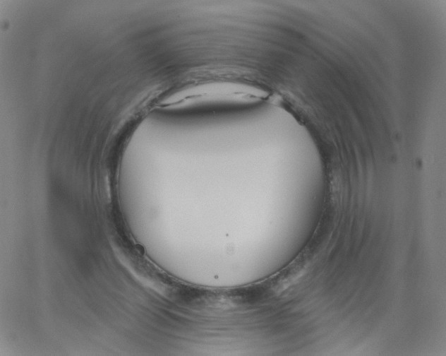 X0000062910254200602101839