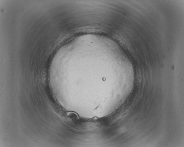 X0000062910255200602101839