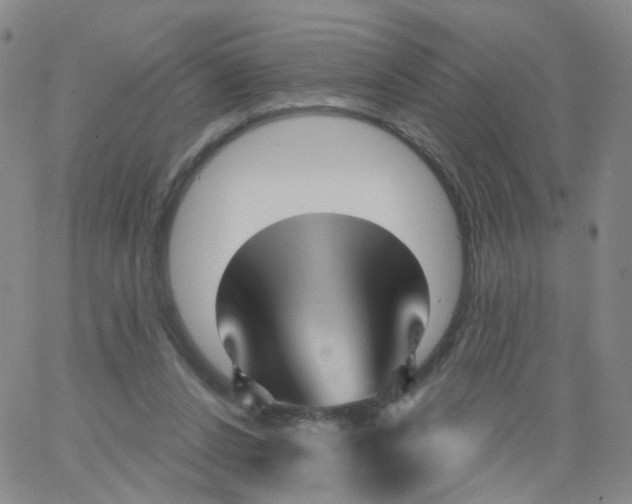 X0000062910256200602101839