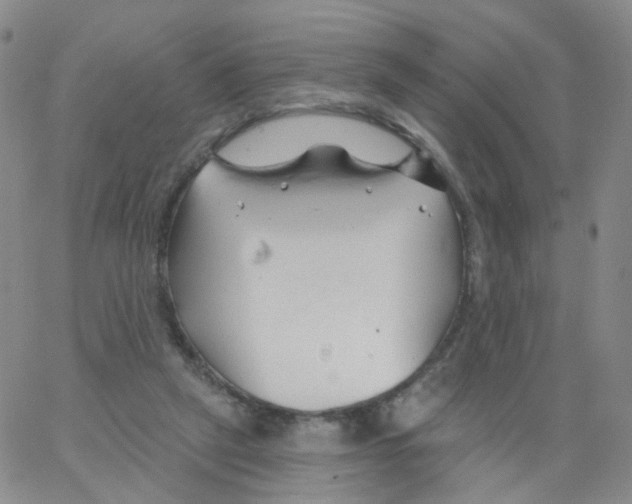 X0000062910257200602101839