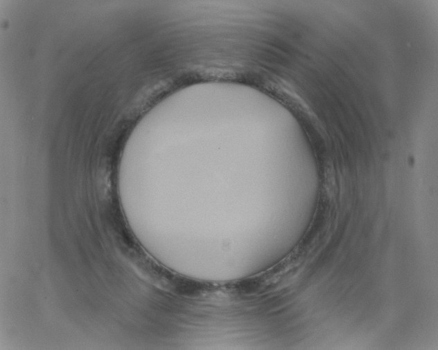 X0000062910259200602101839