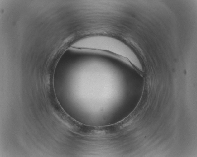 X0000062910260200602101839