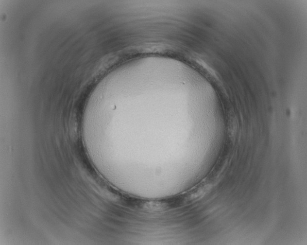 X0000062910261200602101839