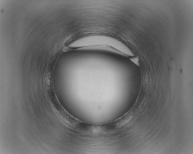 X0000062910264200602101839