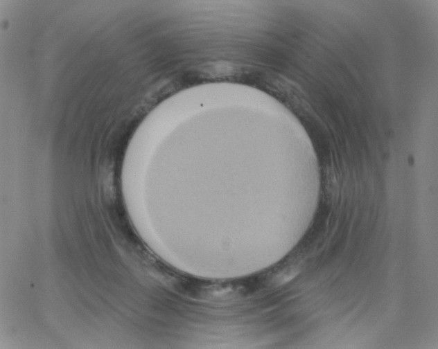 X0000062910267200602101839