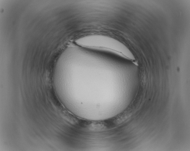 X0000062910270200602101839