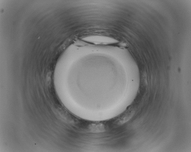 X0000062910271200602101839