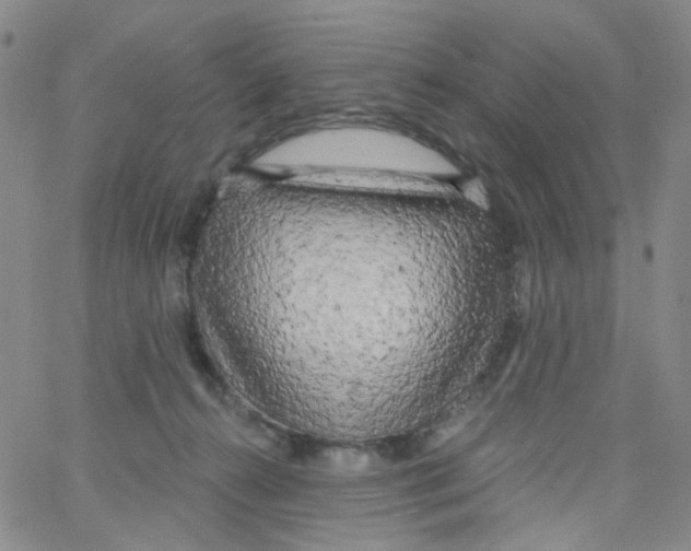 X0000062910272200602101839