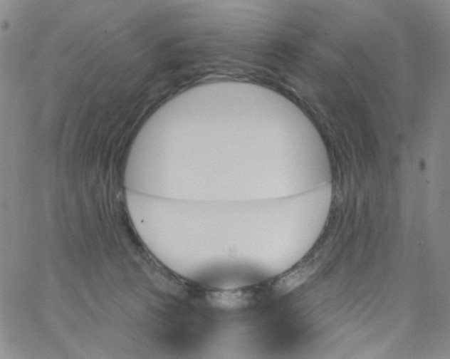 X0000062910273200602101839