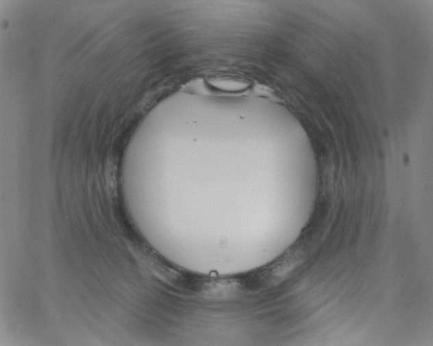 X0000062910274200602101839