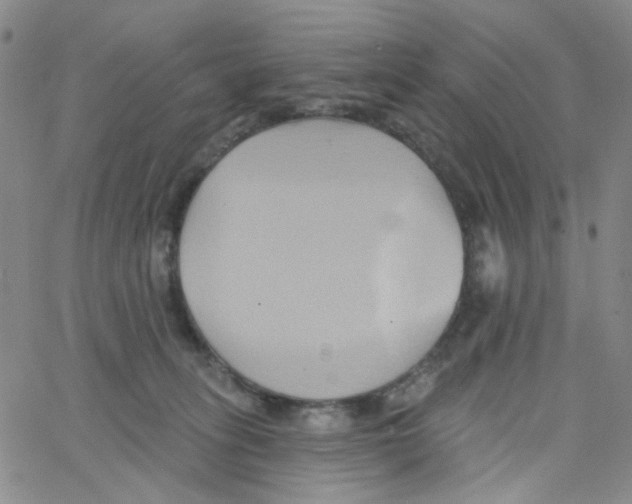 X0000062910275200602101839