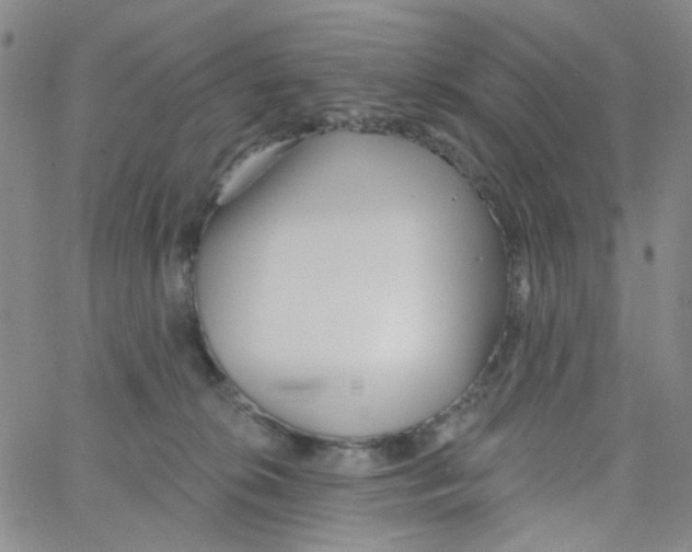 X0000062910276200602101839