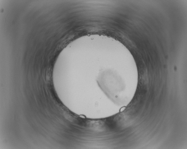 X0000062910277200602101839