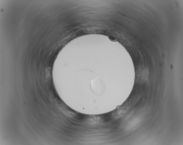 X0000062910278200602101839