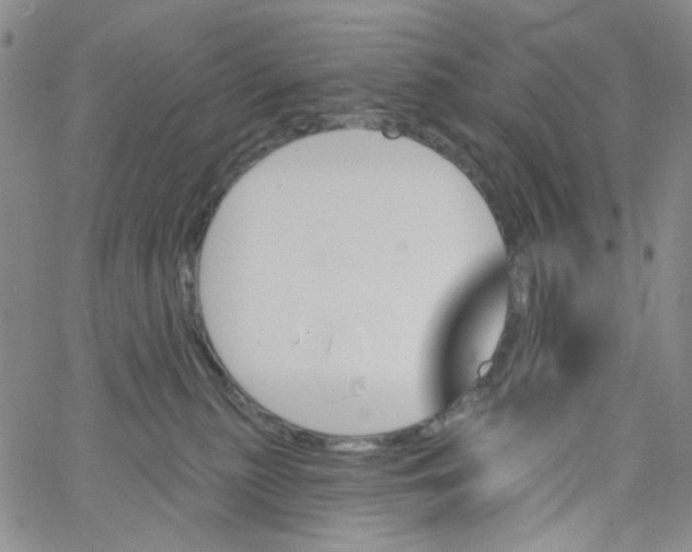 X0000062910279200602101839