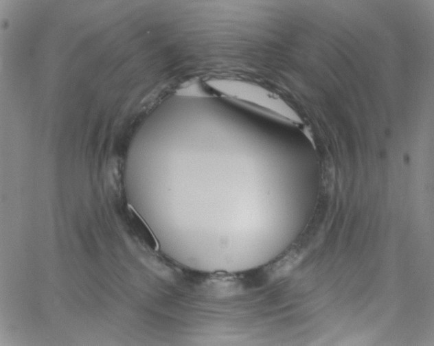 X0000062910280200602101839