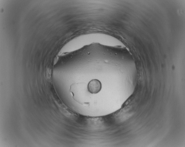 X0000062910281200602101839