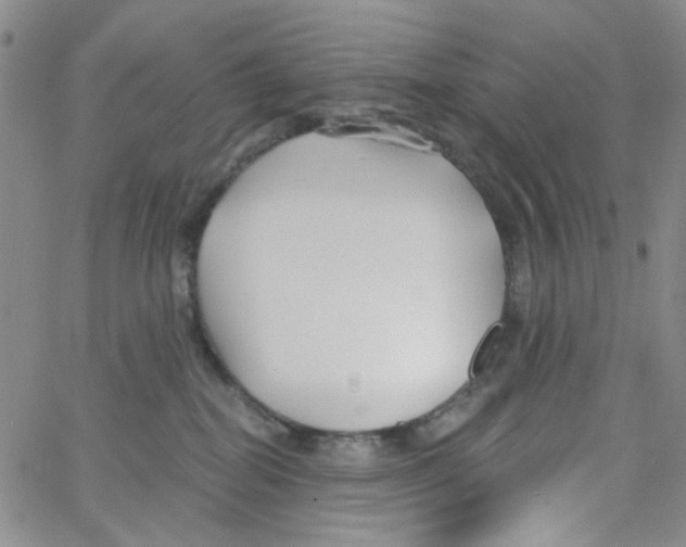 X0000062910282200602101839