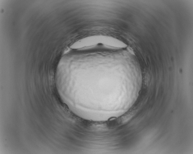 X0000062910283200602101839