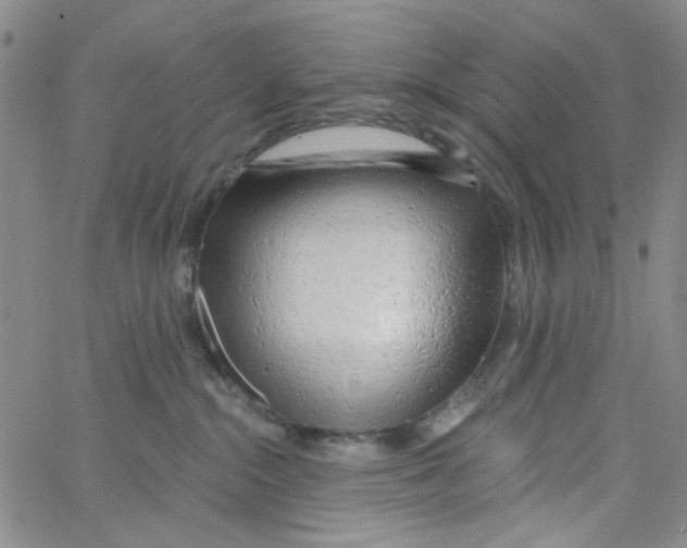 X0000062910284200602101839