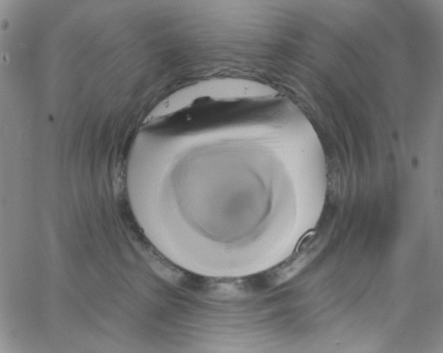 X0000062910285200602101839