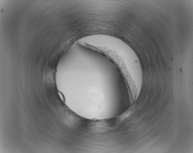 X0000062910286200602101839