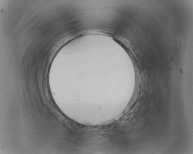 X0000062910289200602101839