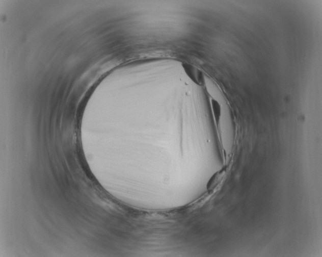 X0000062910290200602101839