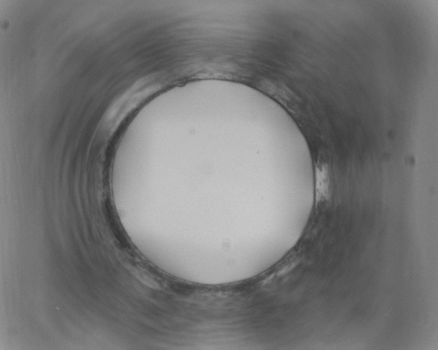 X0000062910291200602101839