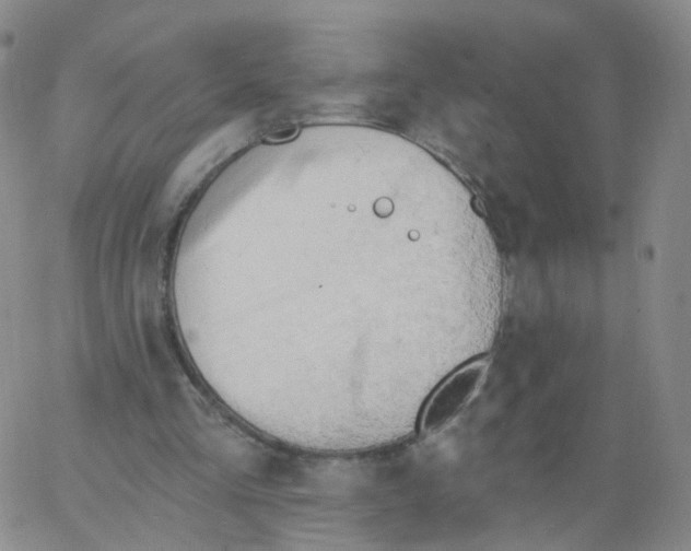 X0000062910293200602101839